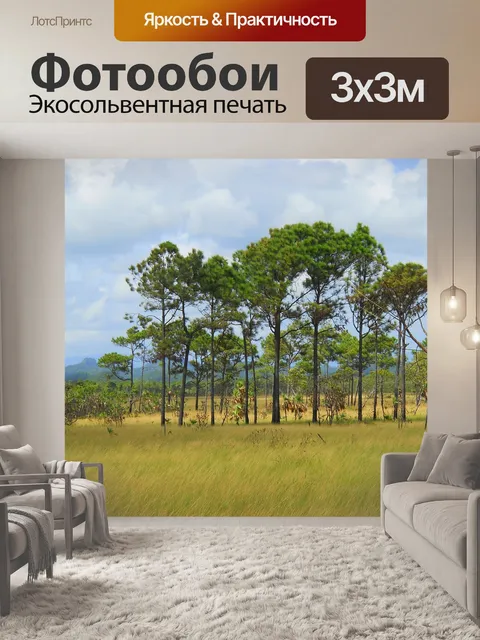 Фотообои Белиз