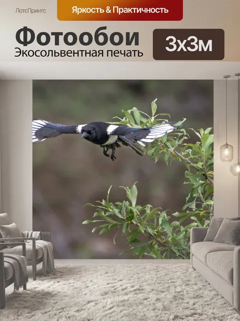 Фотообои болтун