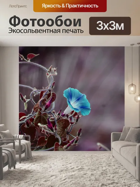 Фотообои Цветок