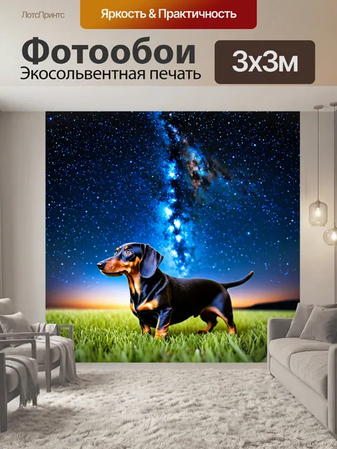 Фотообои такса, глядящая на звёзды в ночном небе