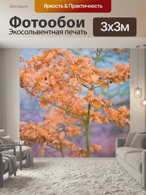 Фотообои Час земли
