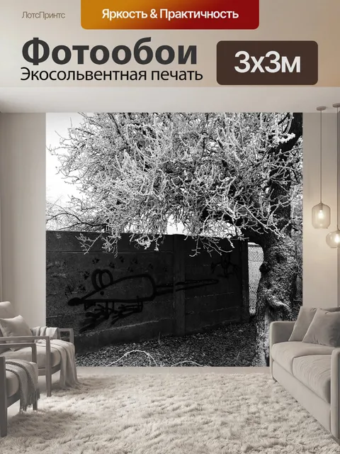 Фотообои Брно