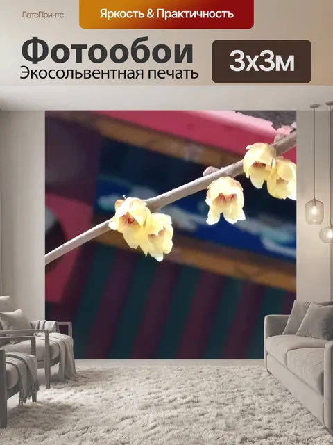 Фотообои Цветок