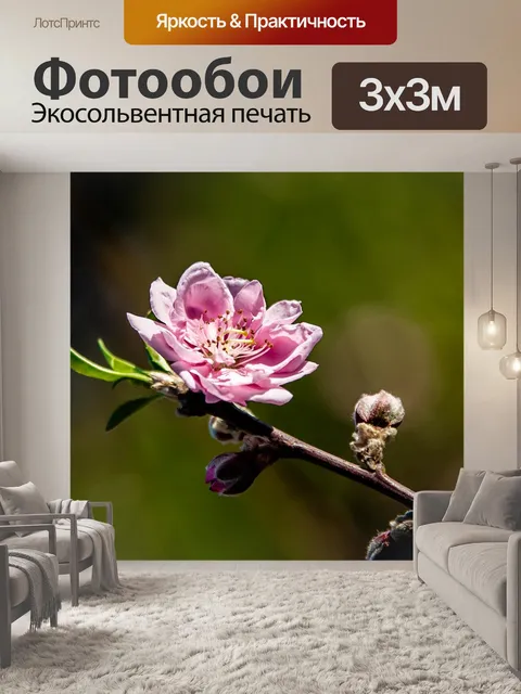 Фотообои Цветок