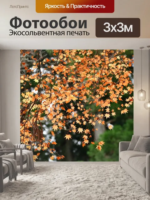 Фотообои Осень
