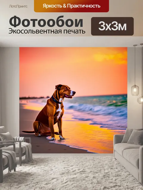Фотообои собака на закате, сидящая на пляже, с яркими цветами неба и отражением в воде