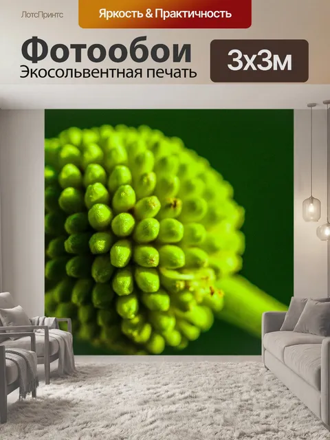 Фотообои Зеленое семя Белый цветок попинака