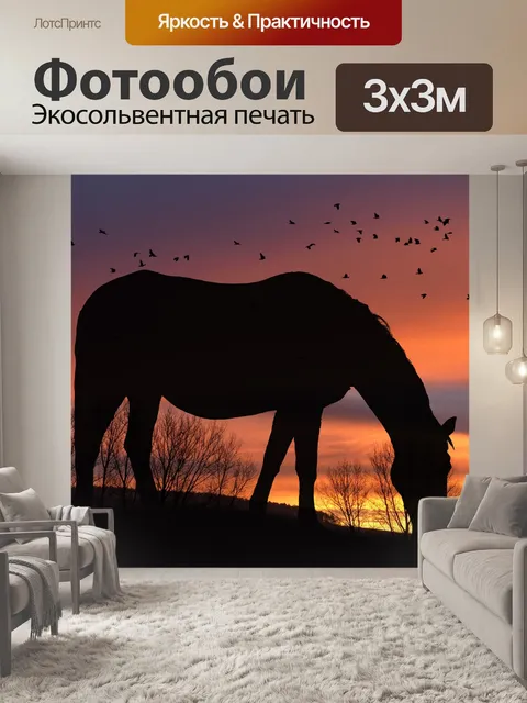 Фотообои Силуэт, лошадь, закат