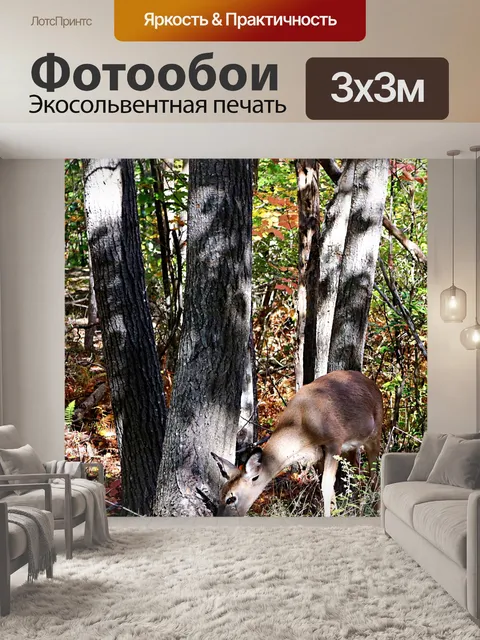 Фотообои олень