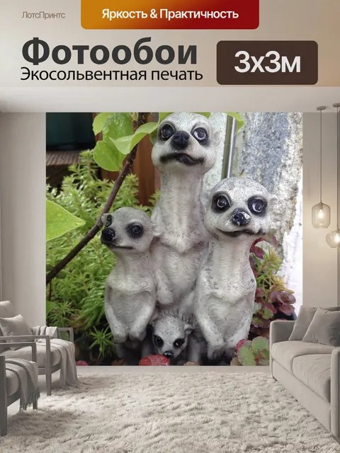 Фотообои Сурикат