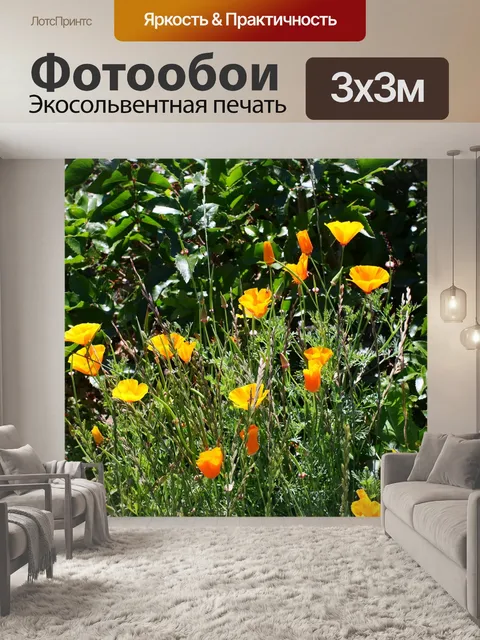 Фотообои Расцветает