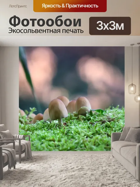 Фотообои Лес