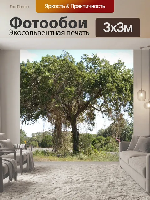 Фотообои Дерево с мох, растущий