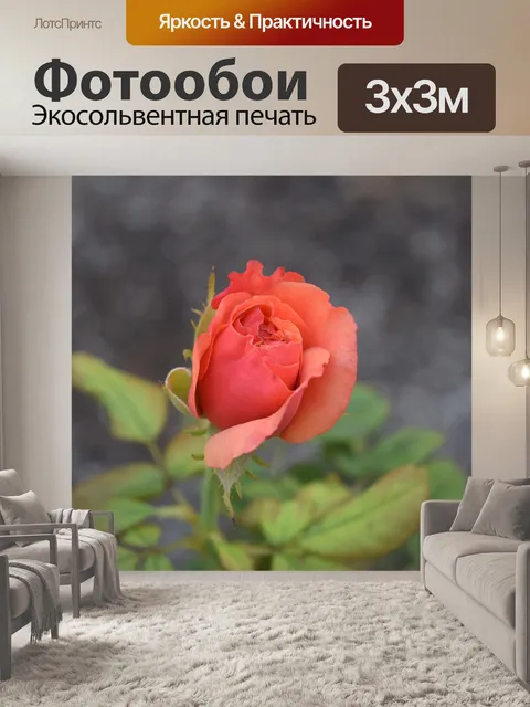 Фотообои Розы