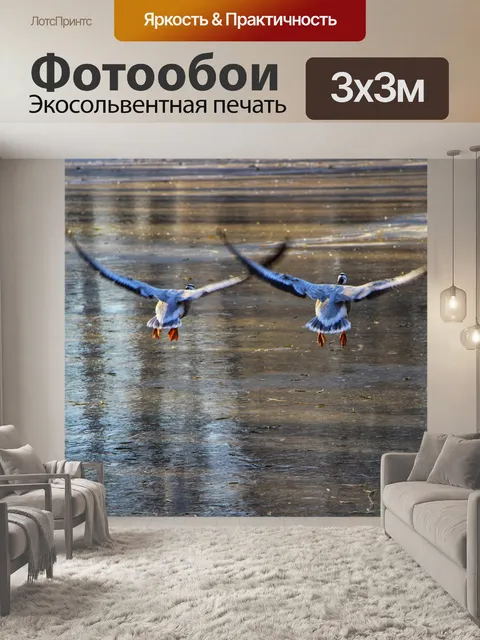 Фотообои Гуси