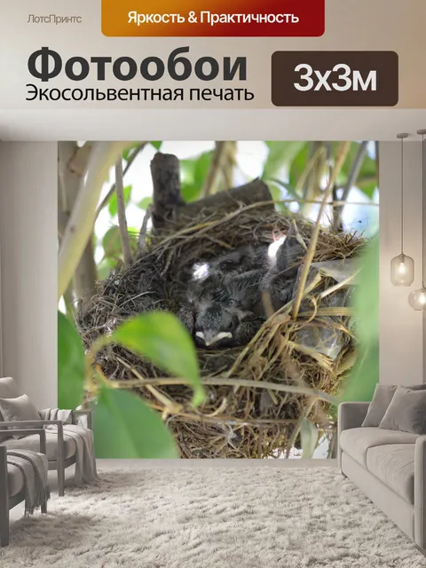 Фотообои Рост Птицы