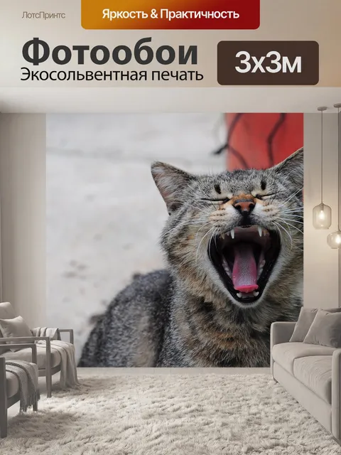 Фотообои Кошка