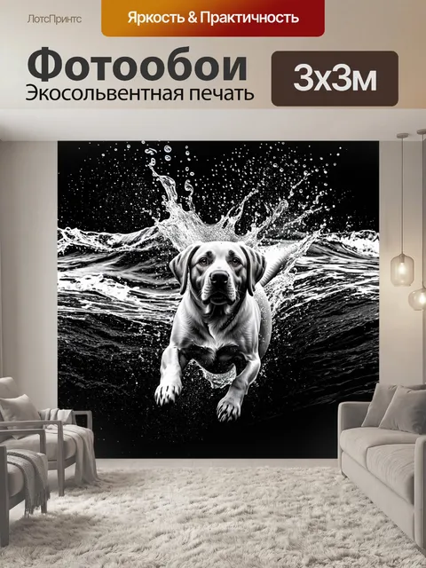 Фотообои лабрадор, который плавно ныряет в черно-белые волны океана, с брызгами воды вокруг