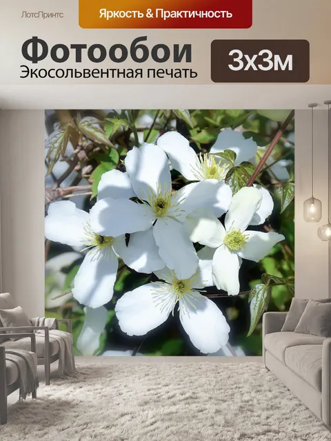 Фотообои Цветы