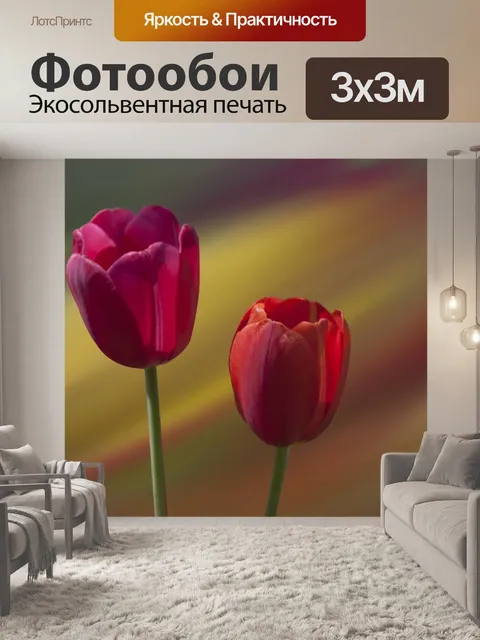 Фотообои Тюльпаны