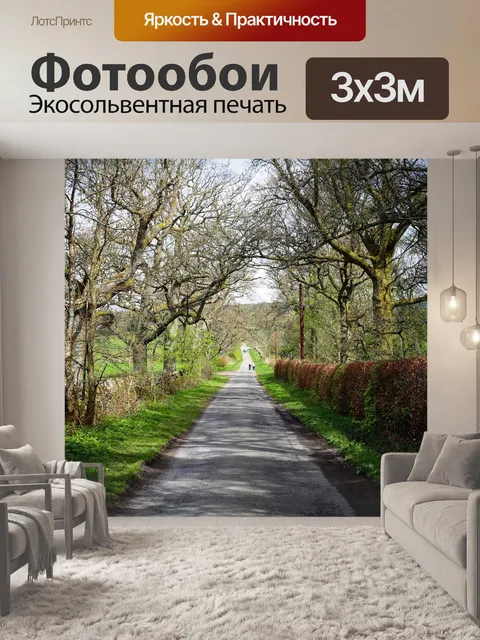Фотообои Дорожка