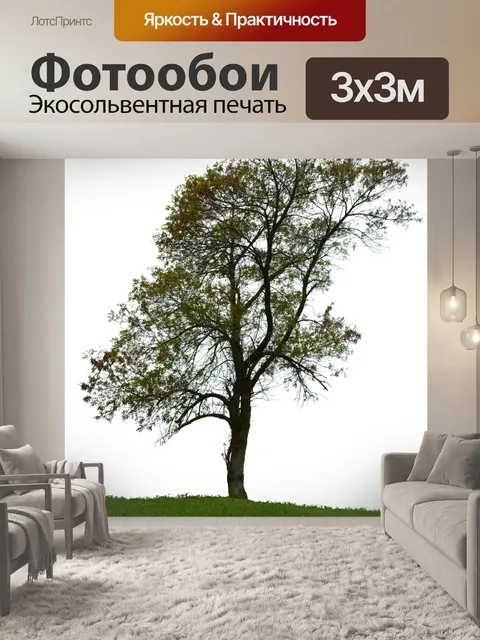 Фотообои Дерево без фона