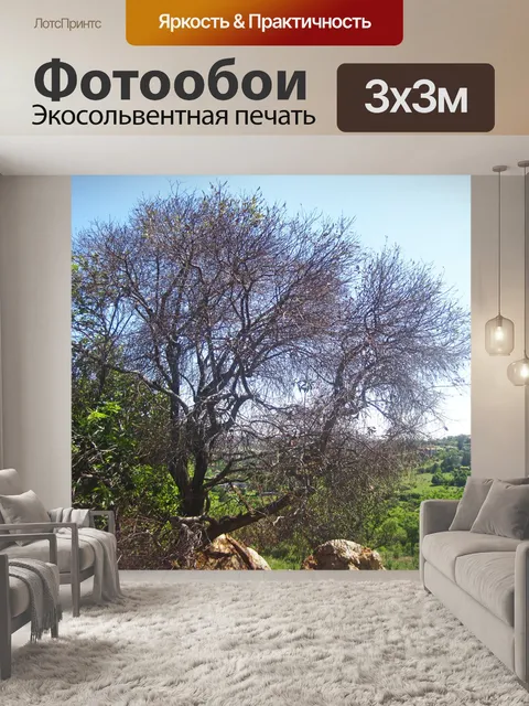 Фотообои большое дерево с редкими листьями