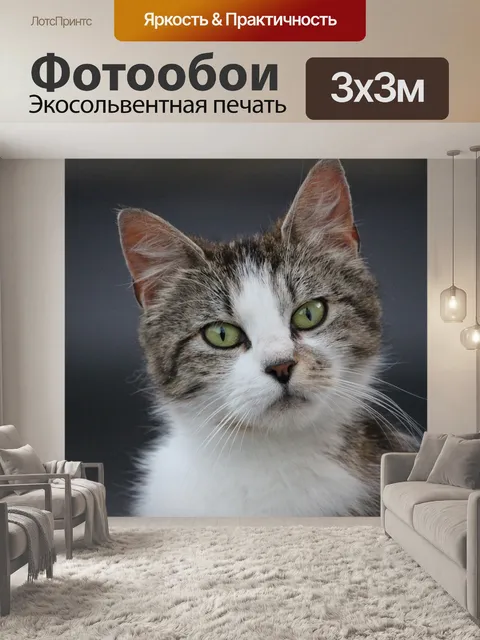 Фотообои Кошки