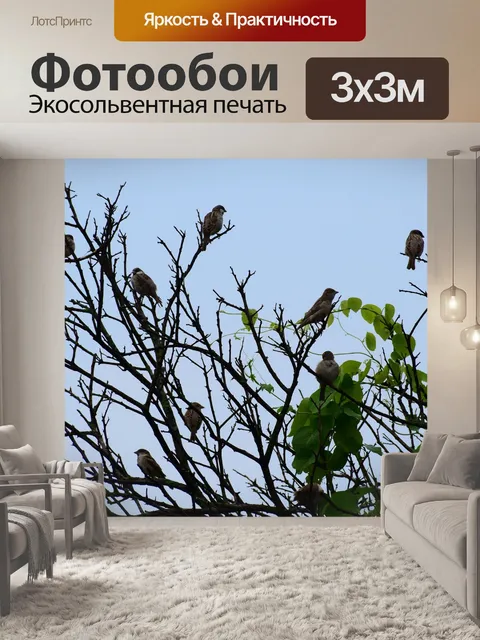 Фотообои Птица