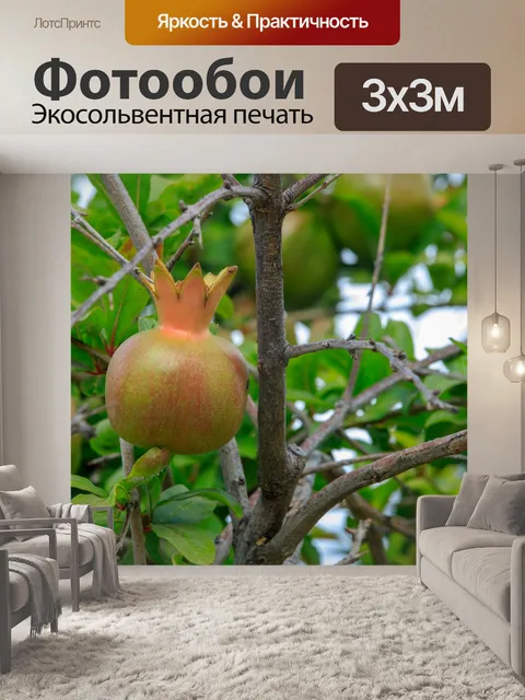 Фотообои Природа Крита