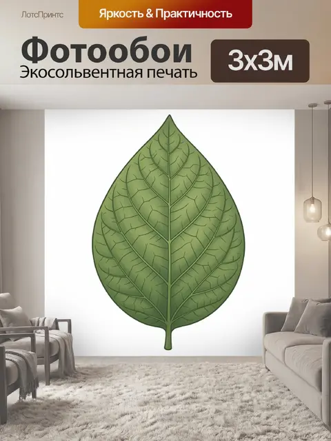 Фотообои Зелёный лист с прожилками