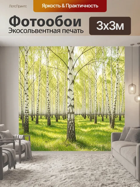 Фотообои Берёзовая роща в солнечный день