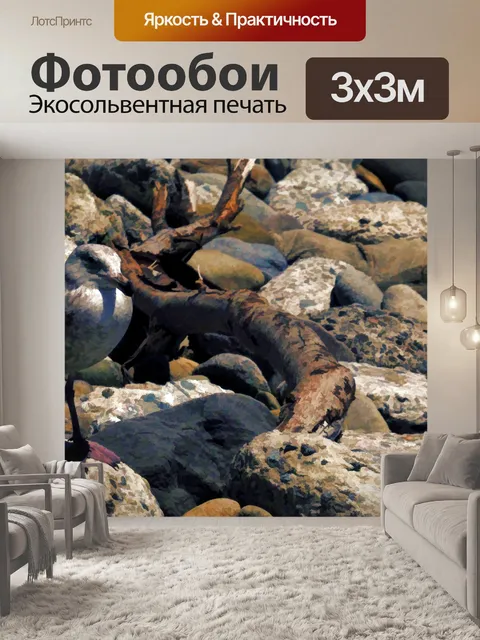 Фотообои чайка