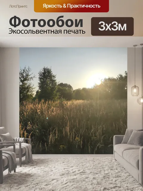 Фотообои Луг в солнце