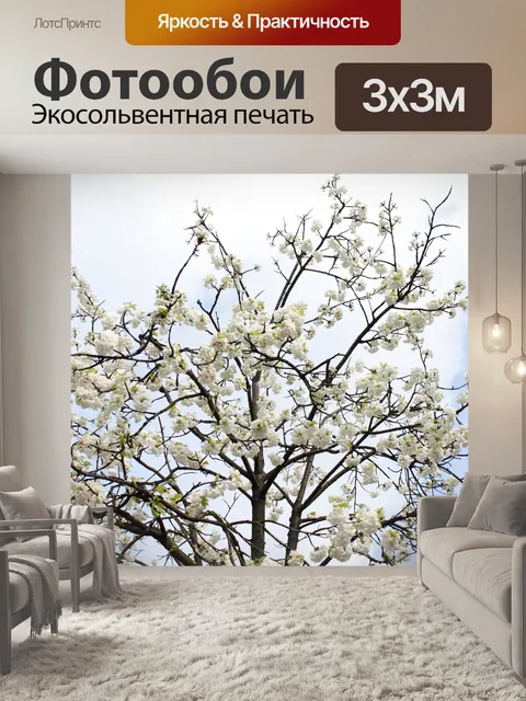 Фотообои Фон