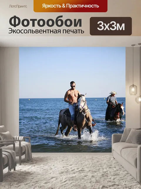 Фотообои Лошадь
