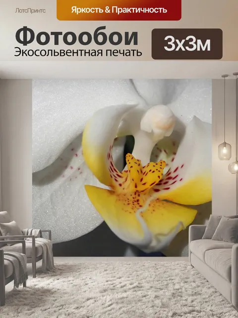 Фотообои Орхидея