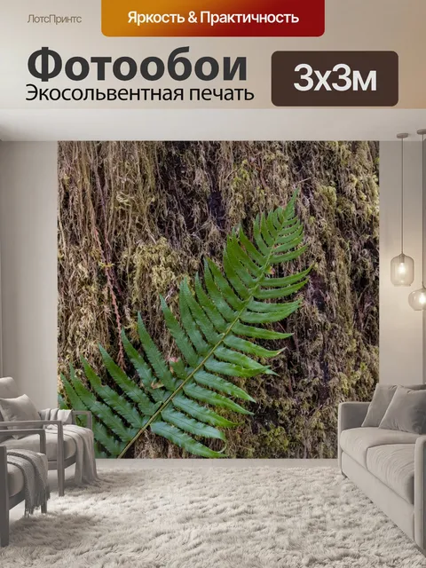 Фотообои Папоротник на стволе мшистого дерева