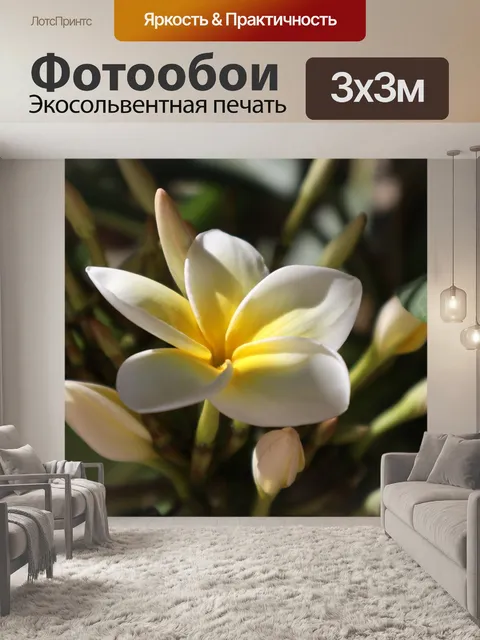 Фотообои Frangipani