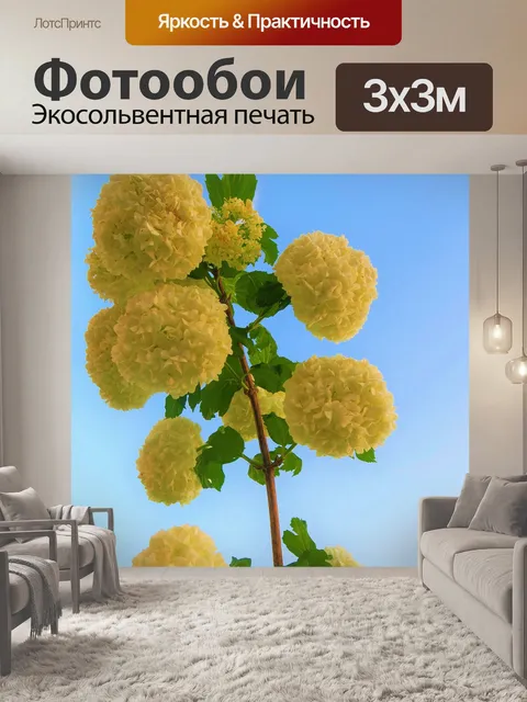 Фотообои Цветы