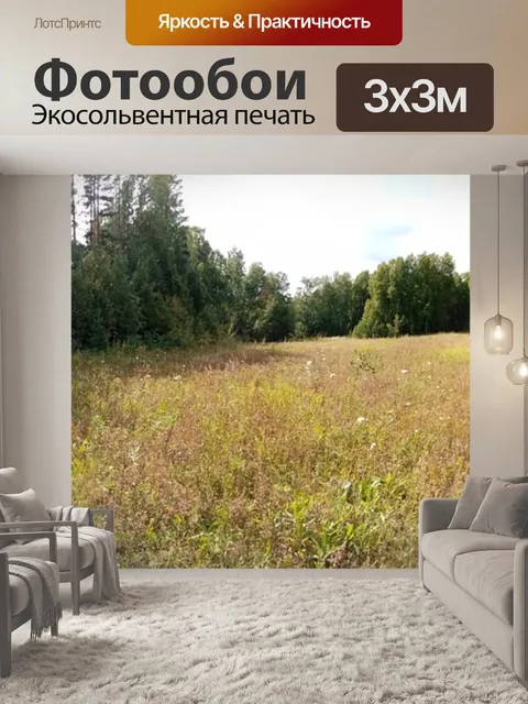 Фотообои Автомобиль
