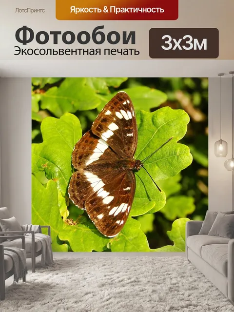Фотообои Природа
