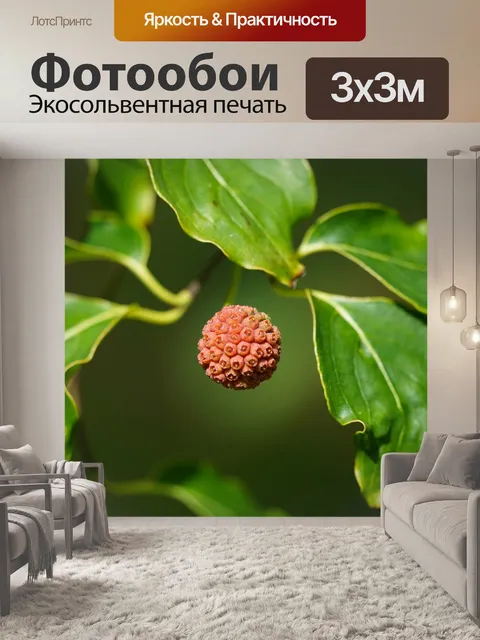 Фотообои Растения