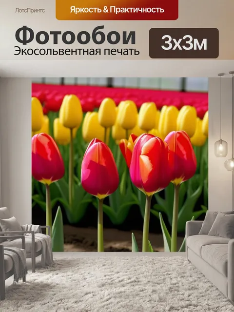Фотообои яркие тюльпаны в оранжерее