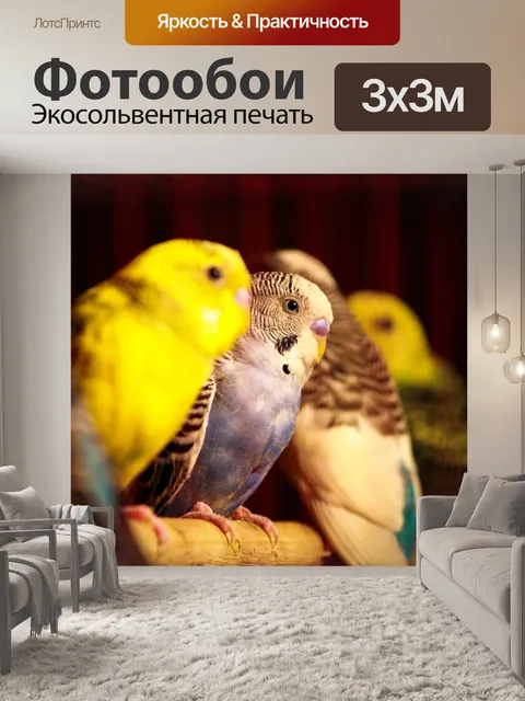 Фотообои Птицы