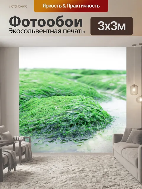 Фотообои Пляж