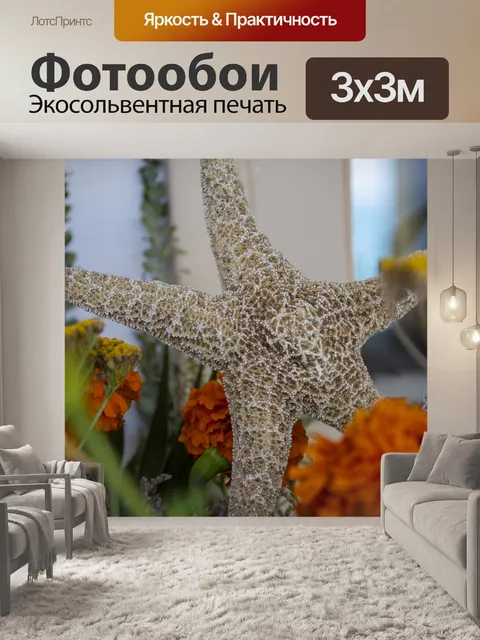 Фотообои Морская звезда