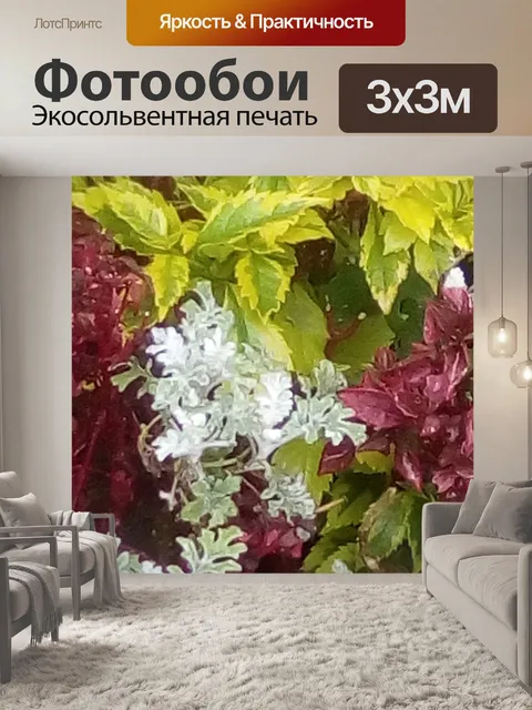Фотообои Цветы