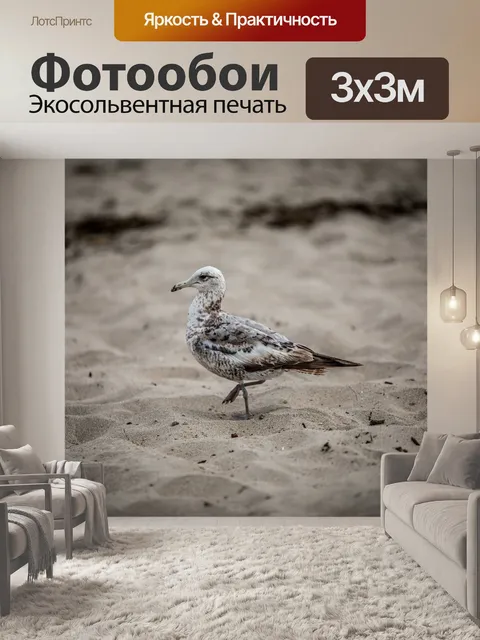 Фотообои Птица
