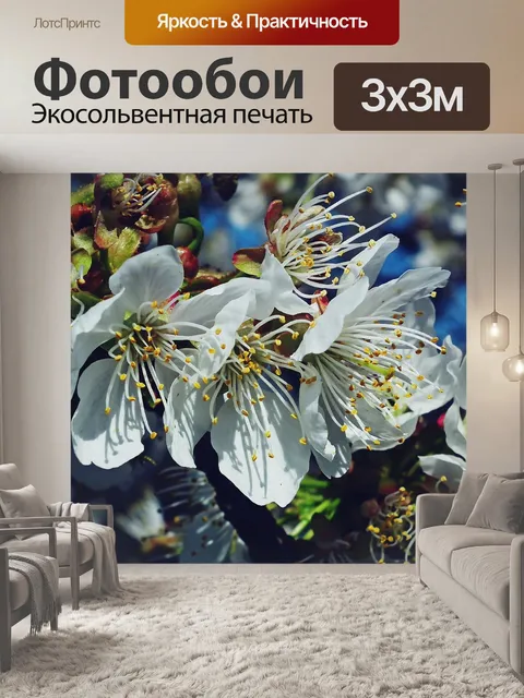 Фотообои Цветы